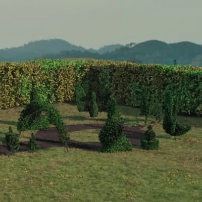 Thumbnail of Geometry to Bush